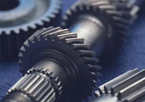 地域特産シーズニングの開発サービス