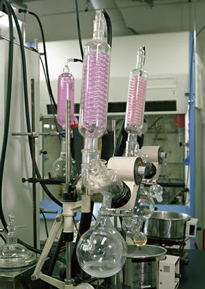 NFCタグの中のリストバンドタイプ